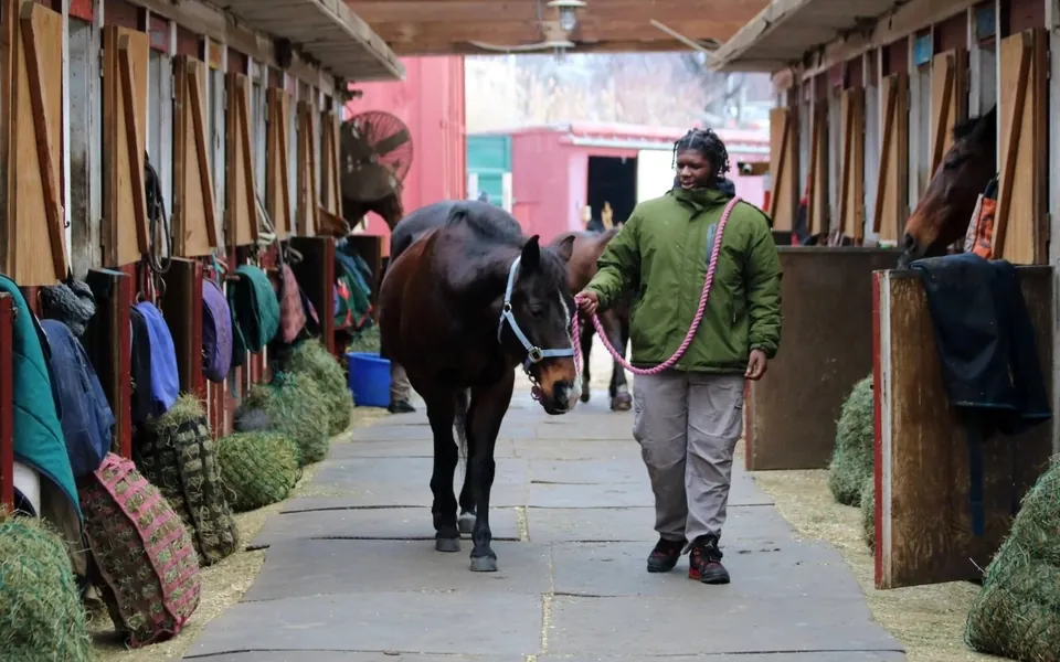 A volunteer leading a horse down a stable aisle