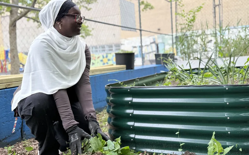 A gardener tending a raised bed in a community garden